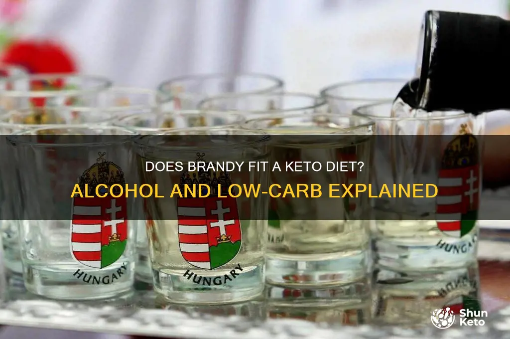 does brandy have ketos
