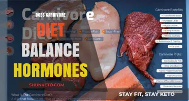 Carnivore Diet: Natural Hormone Balance?