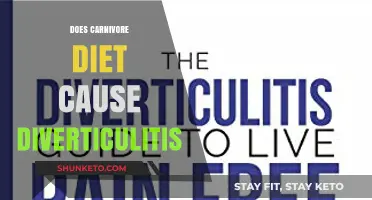 Meat-Based Diets: A Trigger for Diverticulitis?