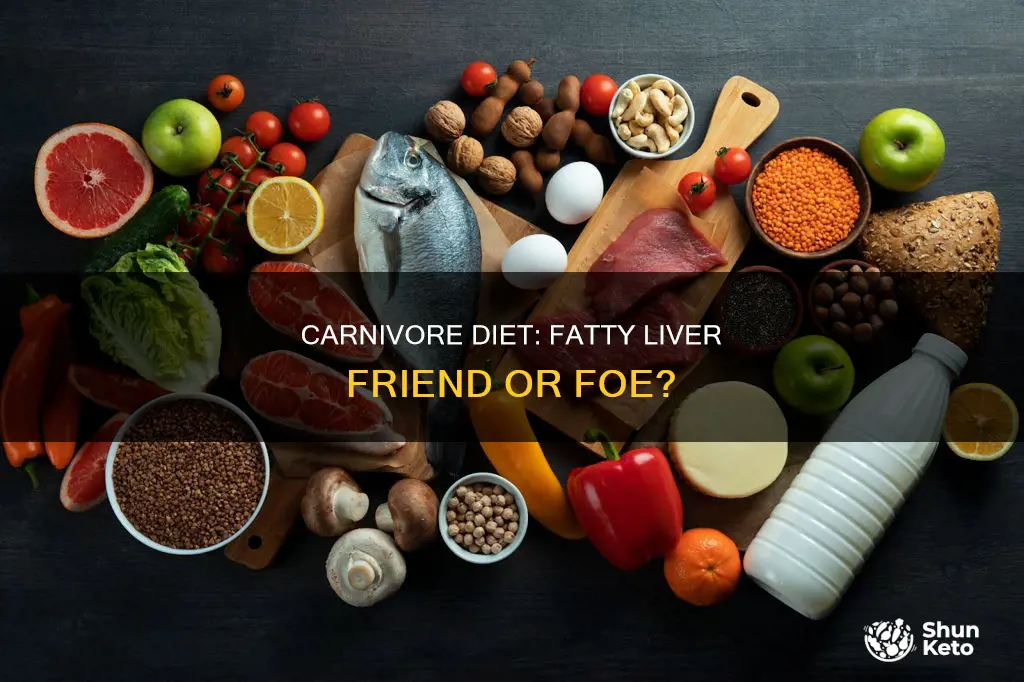 does carnivore diet cause fatty liver