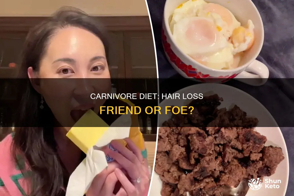does carnivore diet cause hair loss
