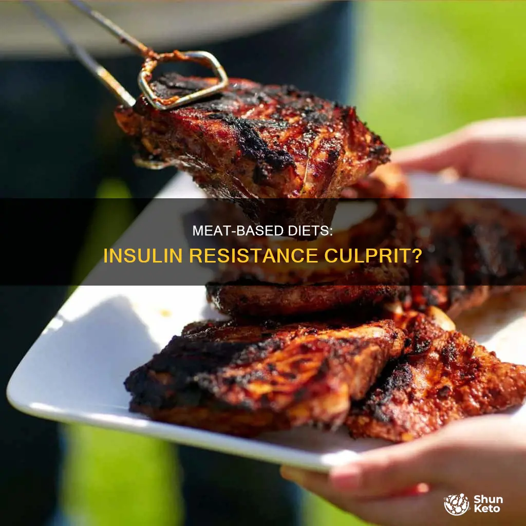 does carnivore diet cause insulin resistance