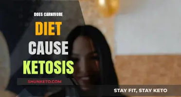 Carnivore Diet: Ketosis and Its Impact
