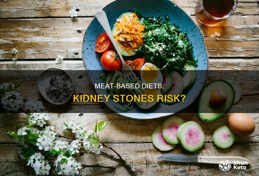 does carnivore diet cause kidney stones