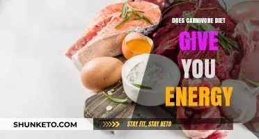 Carnivore Diet: Energy Boost or Myth?