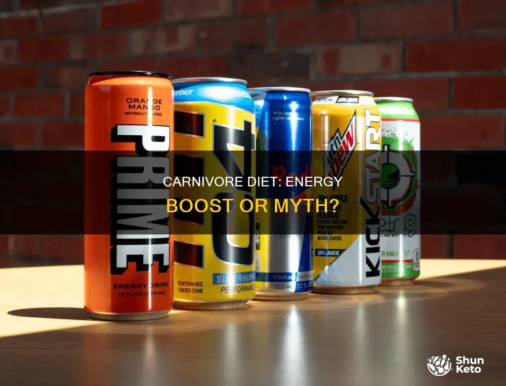 does carnivore diet give you energy