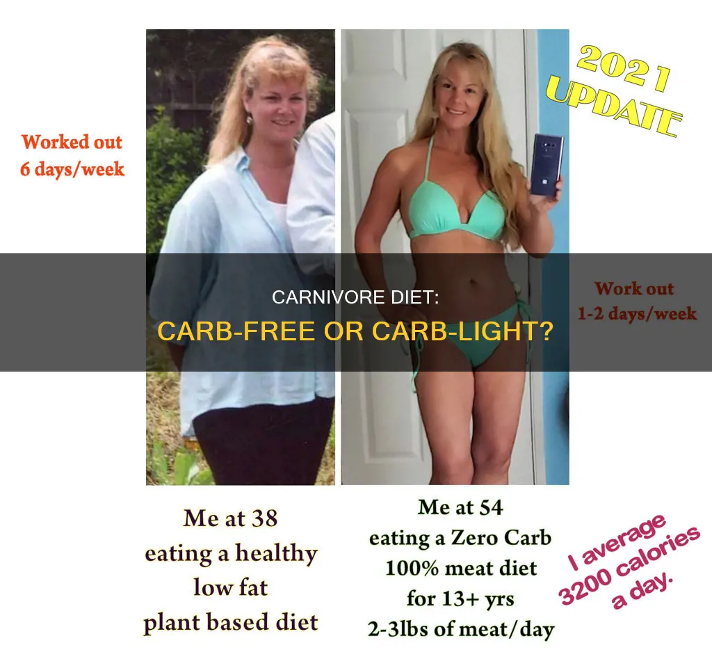does carnivore diet have carbs