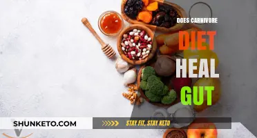 Meat-Based Healing: The Carnivore Diet and Gut Health