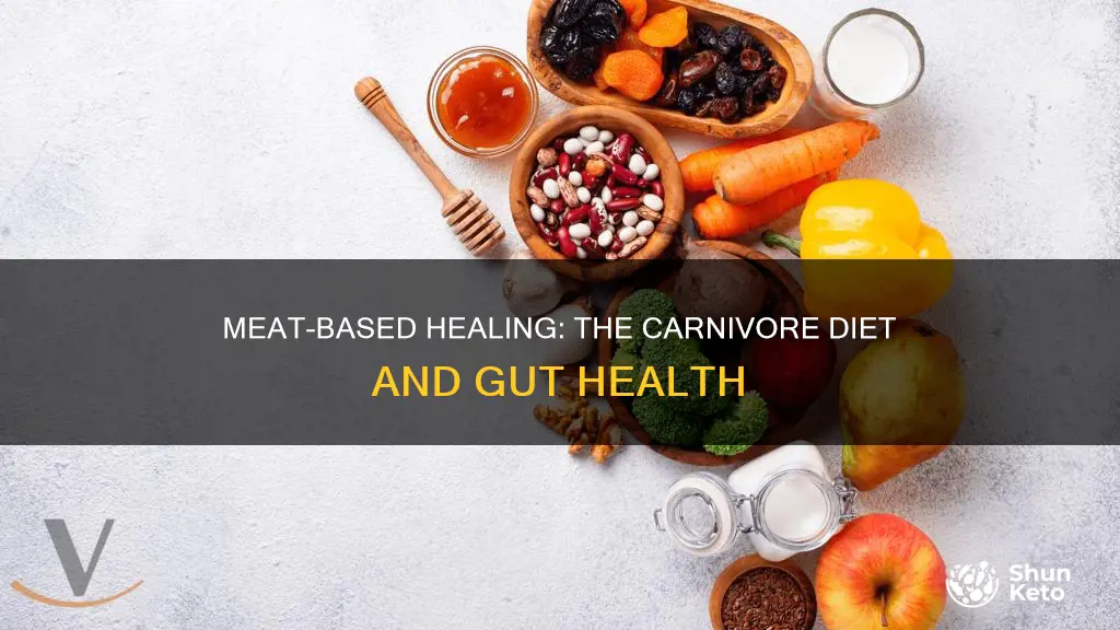 does carnivore diet heal gut
