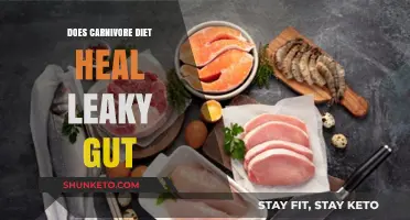 Healing Leaky Gut: Carnivore Diet's Role