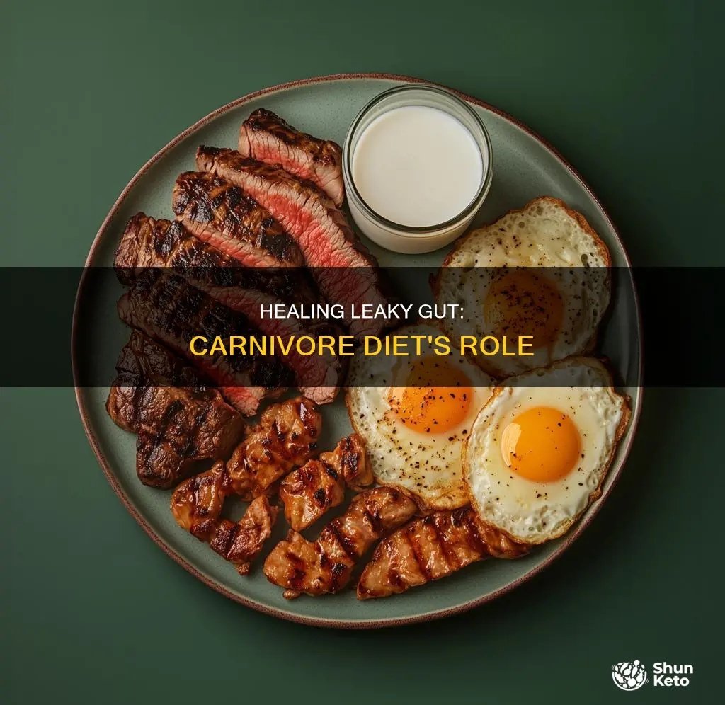 does carnivore diet heal leaky gut