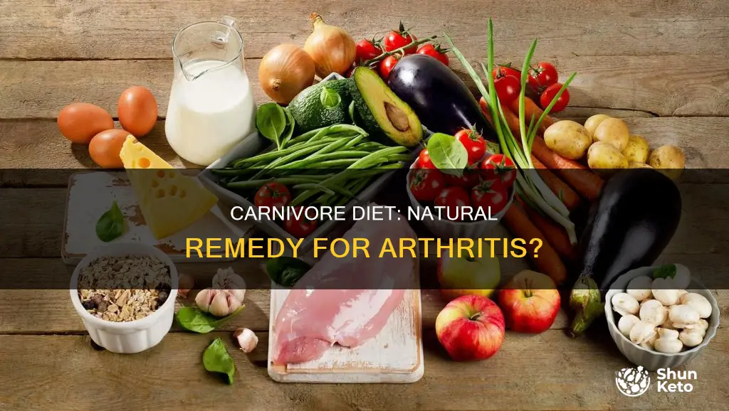 does carnivore diet help arthritis