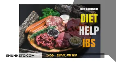 Carnivore Diet: An IBS Solution?