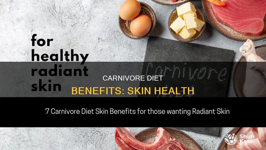 does carnivore diet help skin