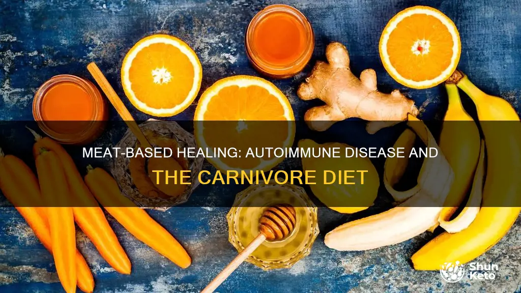 does carnivore diet help with autoimmune disease