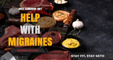 Carnivore Diet: A Cure for Migraines?