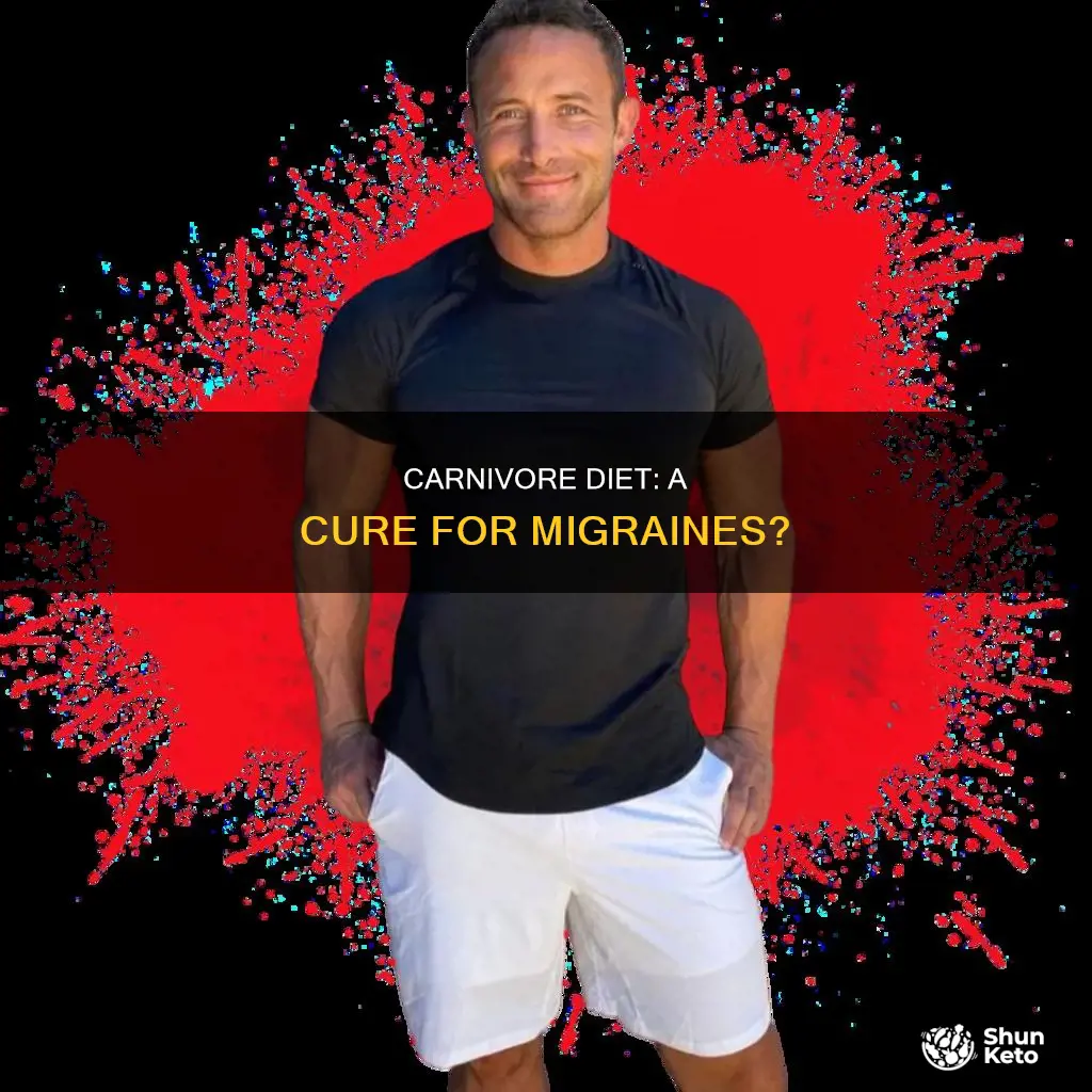 does carnivore diet help with migraines