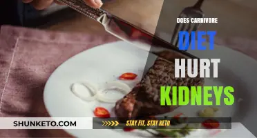 Meat-heavy Diets: Kidney Risks and Rewards