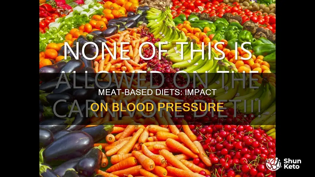 does carnivore diet increase blood pressure