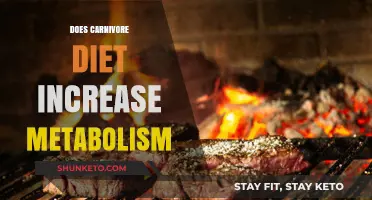 Meat-Based Diets: Metabolism Booster or Myth?