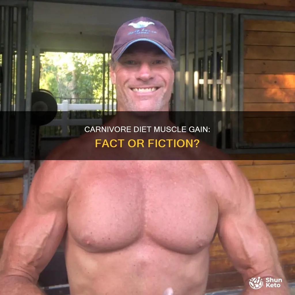 does carnivore diet increase muscle mass