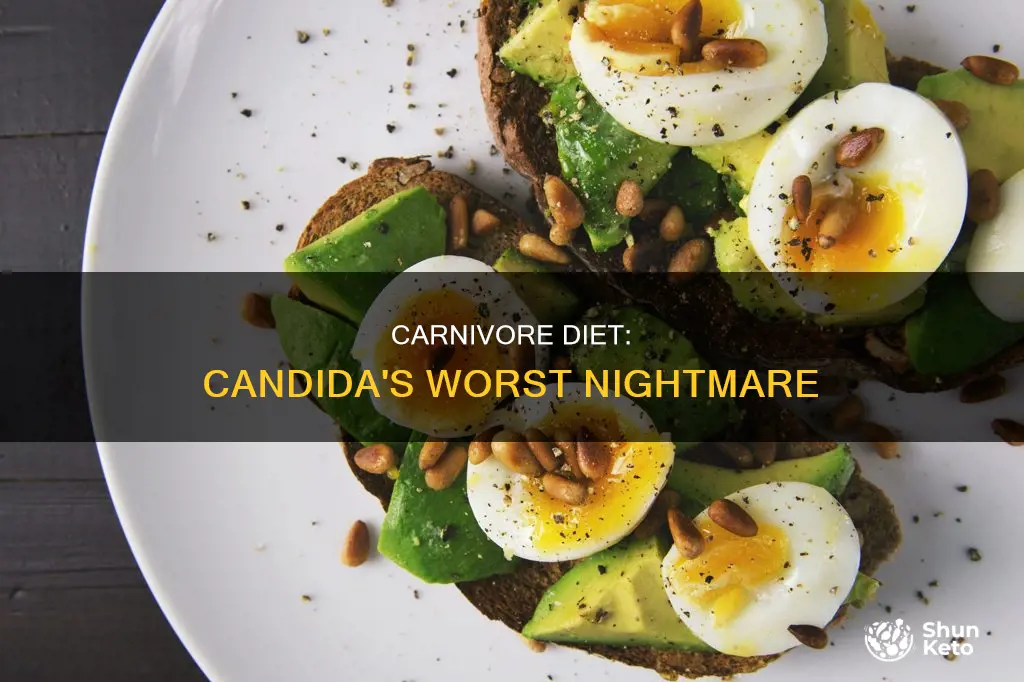 does carnivore diet kill candida