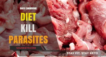 Meat-Based Diets: Killing Parasites or Myth?