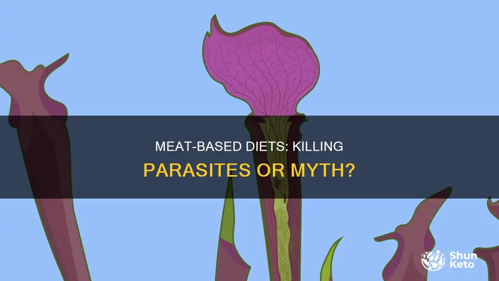 does carnivore diet kill parasites