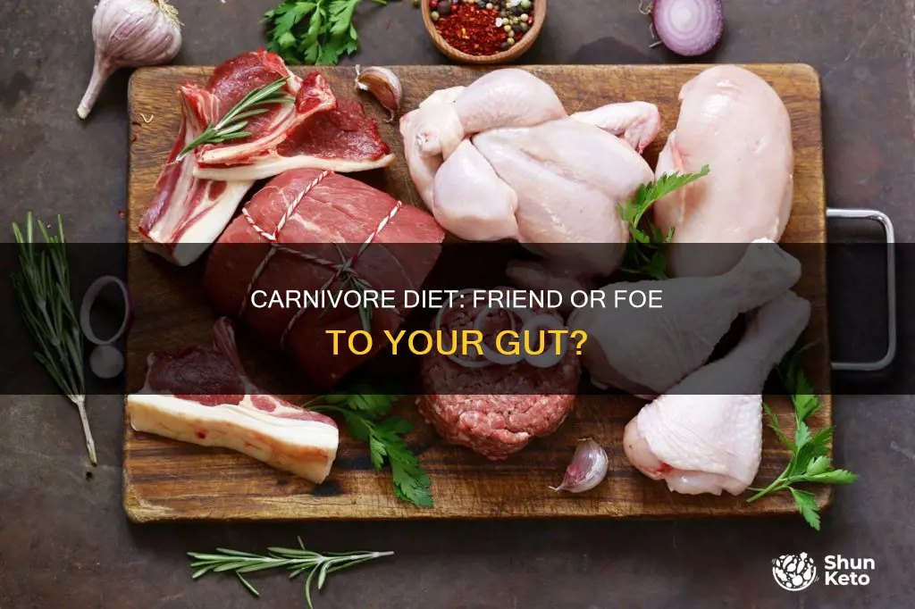 does carnivore diet make you bloated