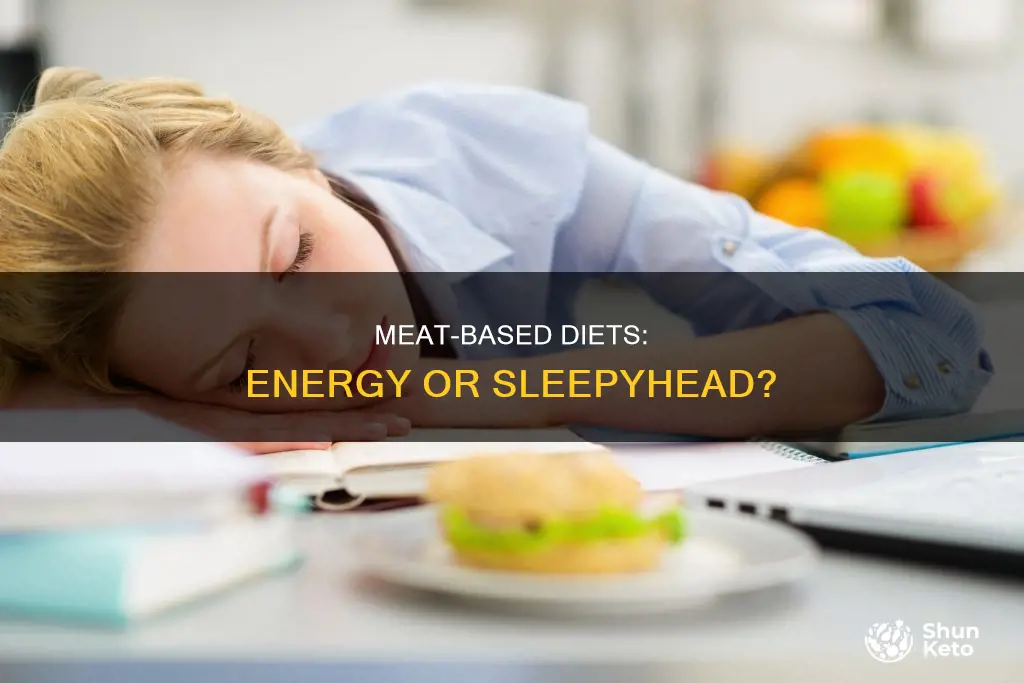 does carnivore diet make you sleepy
