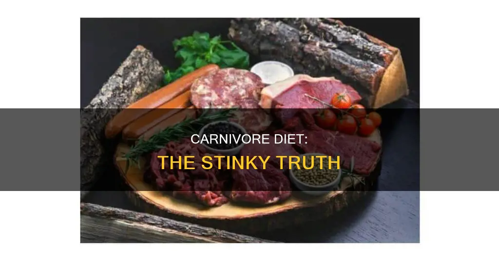 does carnivore diet make you smell