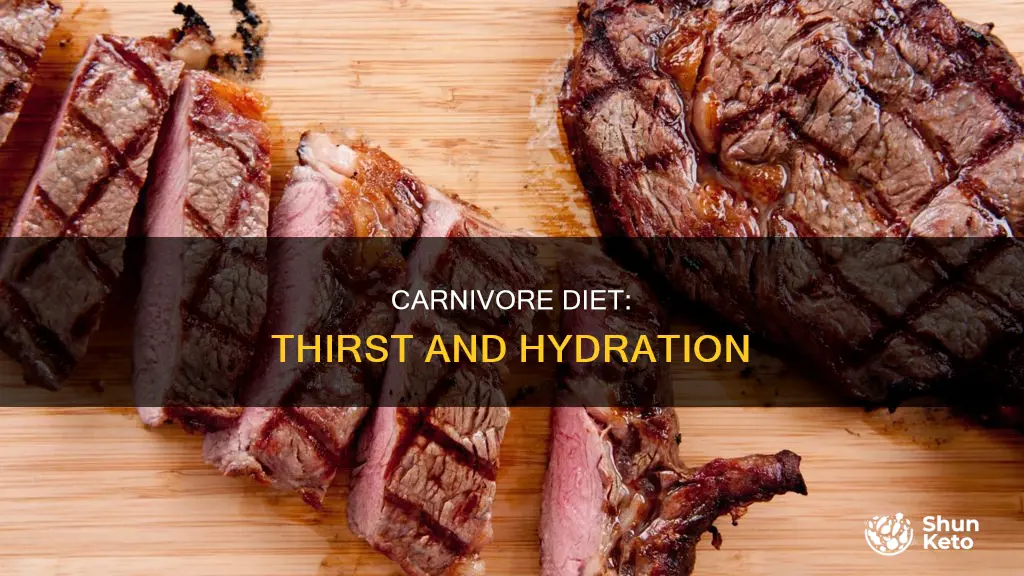 does carnivore diet make you thirsty