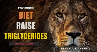 Carnivore Diet and Triglycerides: What's the Connection?