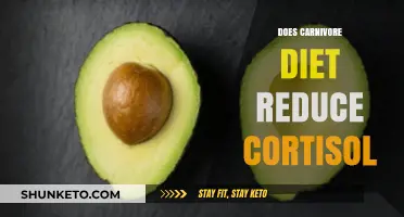 Cortisol and Carnivore: A Stress-Reducing Diet?
