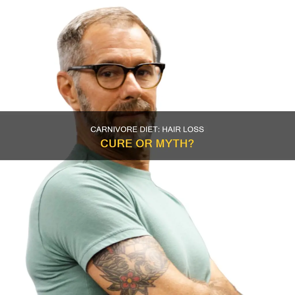 does carnivore diet regrow hair