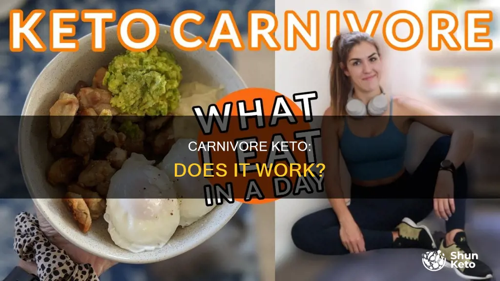 does carnivore keto work