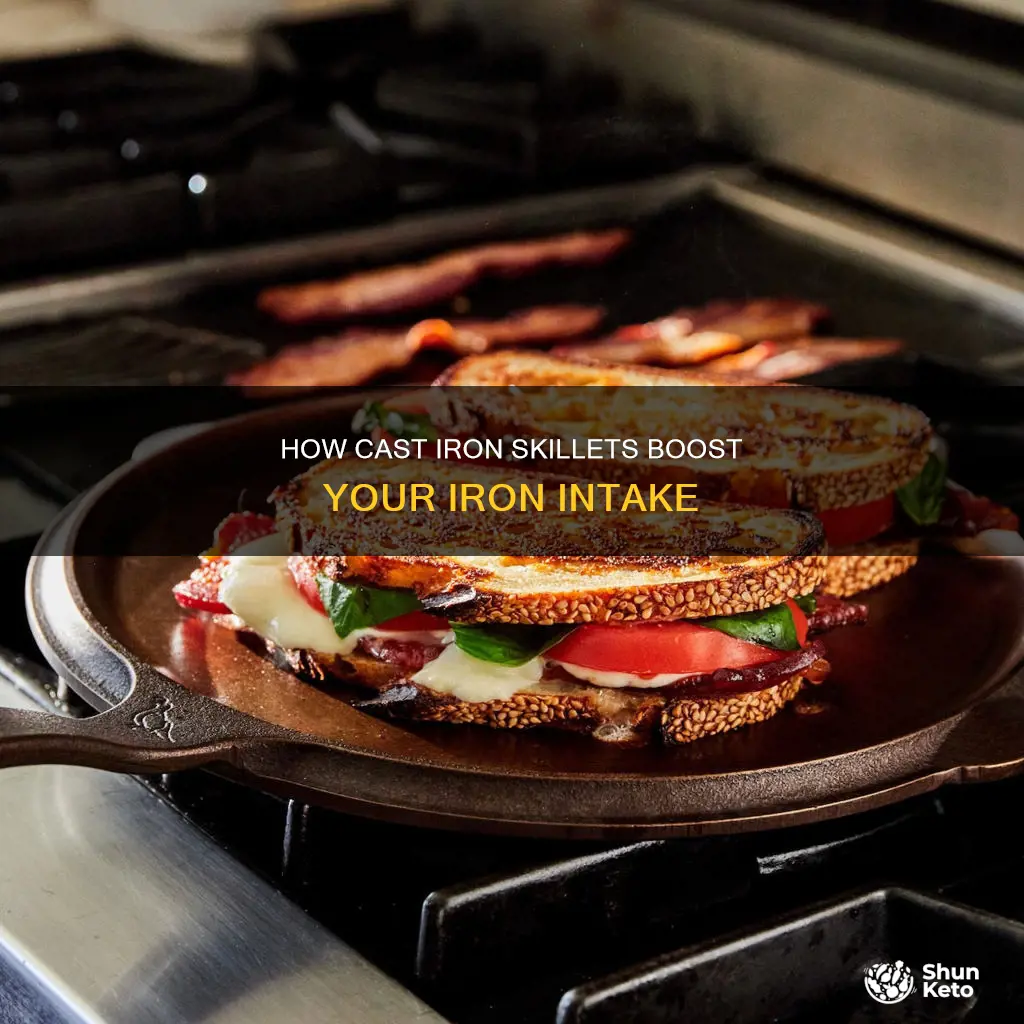 does cast iron skillet add iron to diet