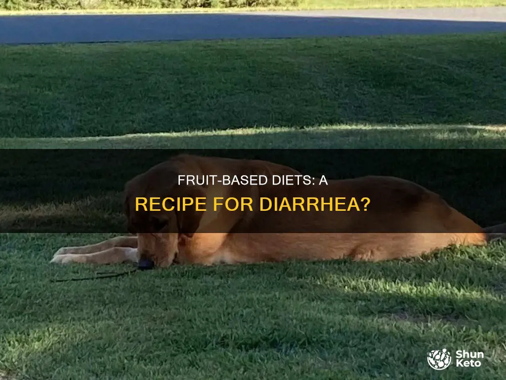does changing diet to mainly fruit cause diarhea
