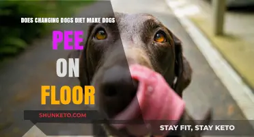 How Diet Changes Affect Your Dog's Bathroom Habits