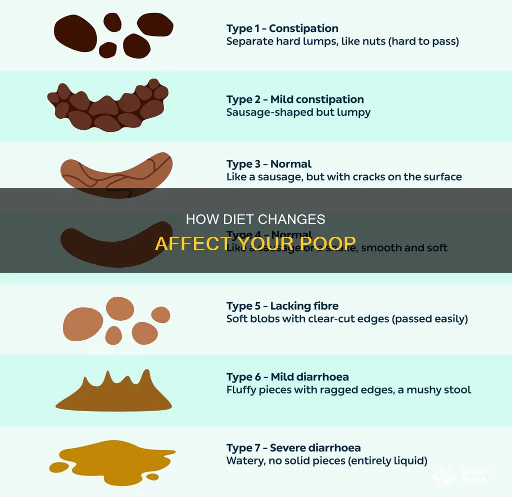 does changing your diet make you poop more