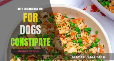 Chicken and Rice Diet: Constipation in Dogs?