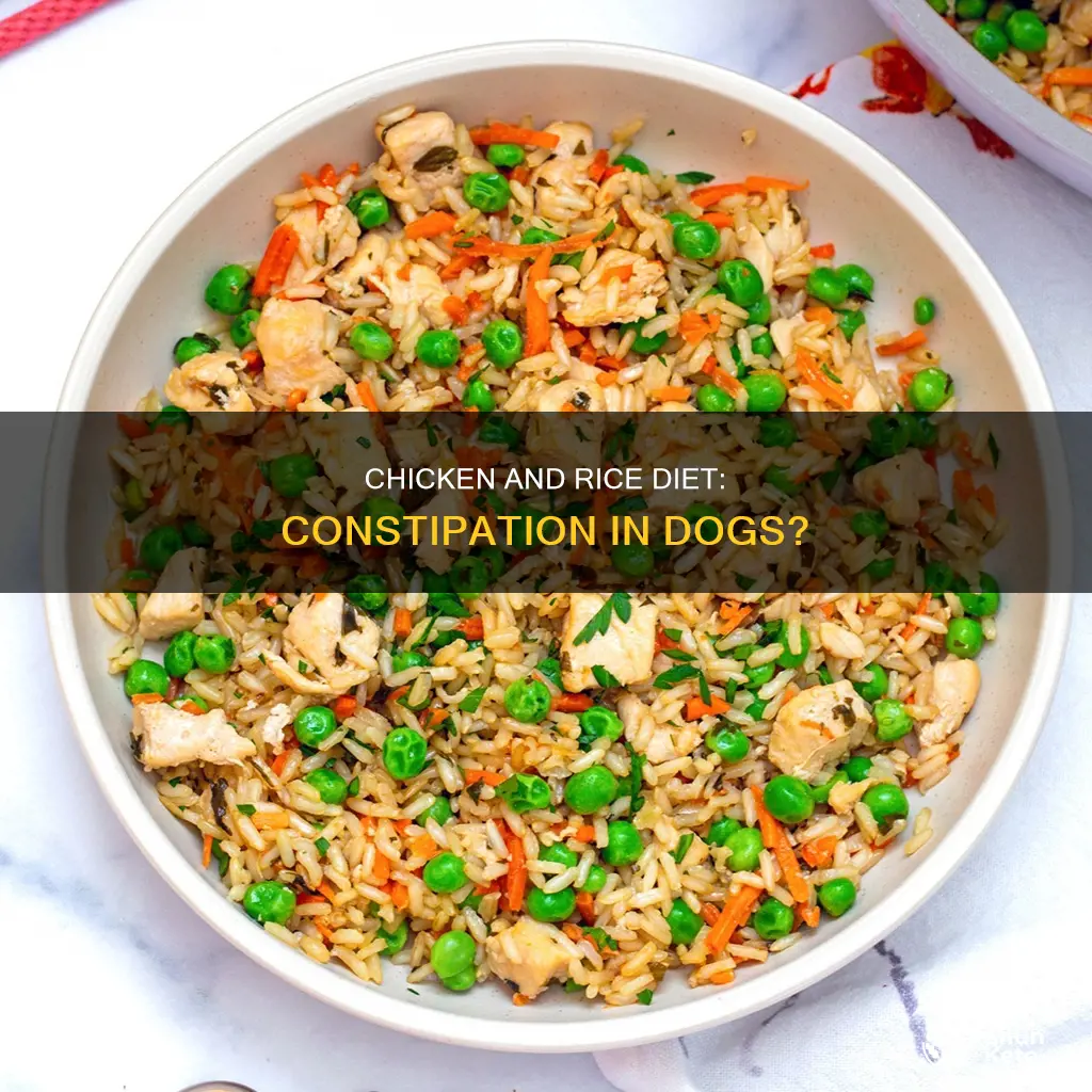 does chicken rice diet for dogs constipate