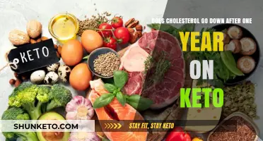 Keto and Cholesterol: One-Year Impact on Your Lipid Levels
