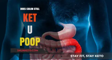 Does Your Colon Still Function Properly for Healthy Bowel Movements?