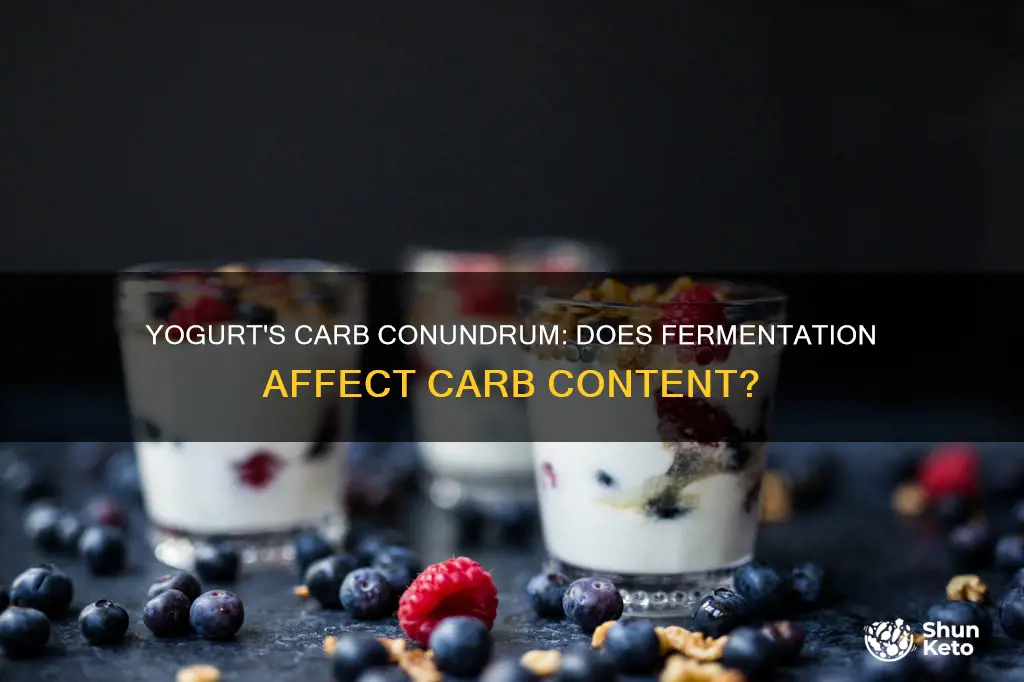 does complete fermentation of yogurt eliminate carbs from your diet