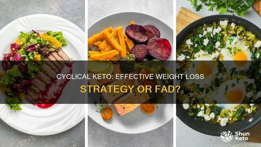 does cyclical keto work