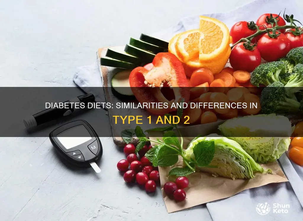 does diabetes 1 and 2 have the same diet recomaditions