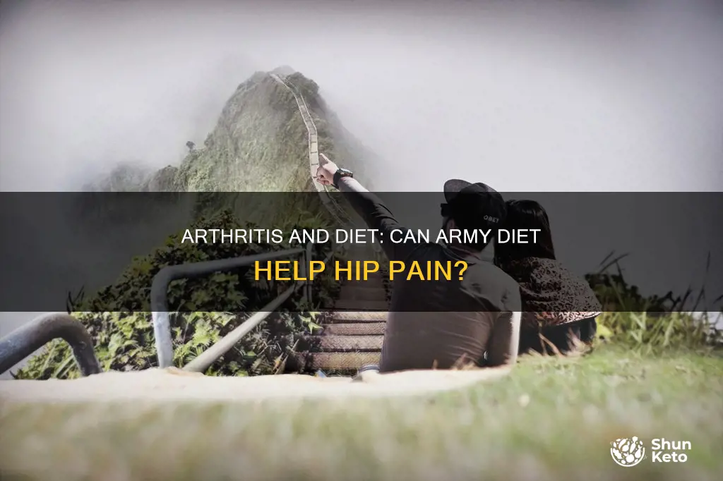 does diet army help arthritis of the hip