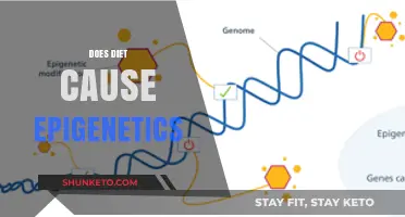 How Diet Influences Epigenetics and Your Health
