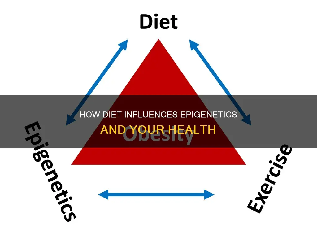 does diet cause epigenetics